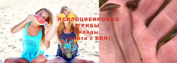 твердый Алексин