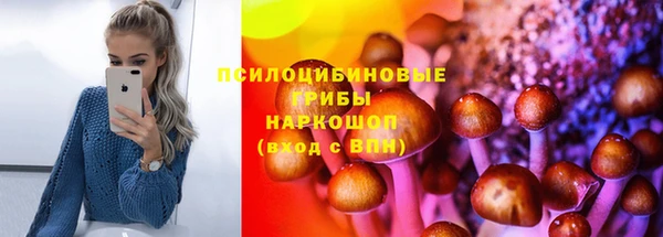 jwh Алзамай
