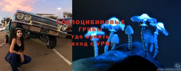 стафф Алексеевка
