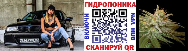 Бошки марихуана сатива  Яхрома 
